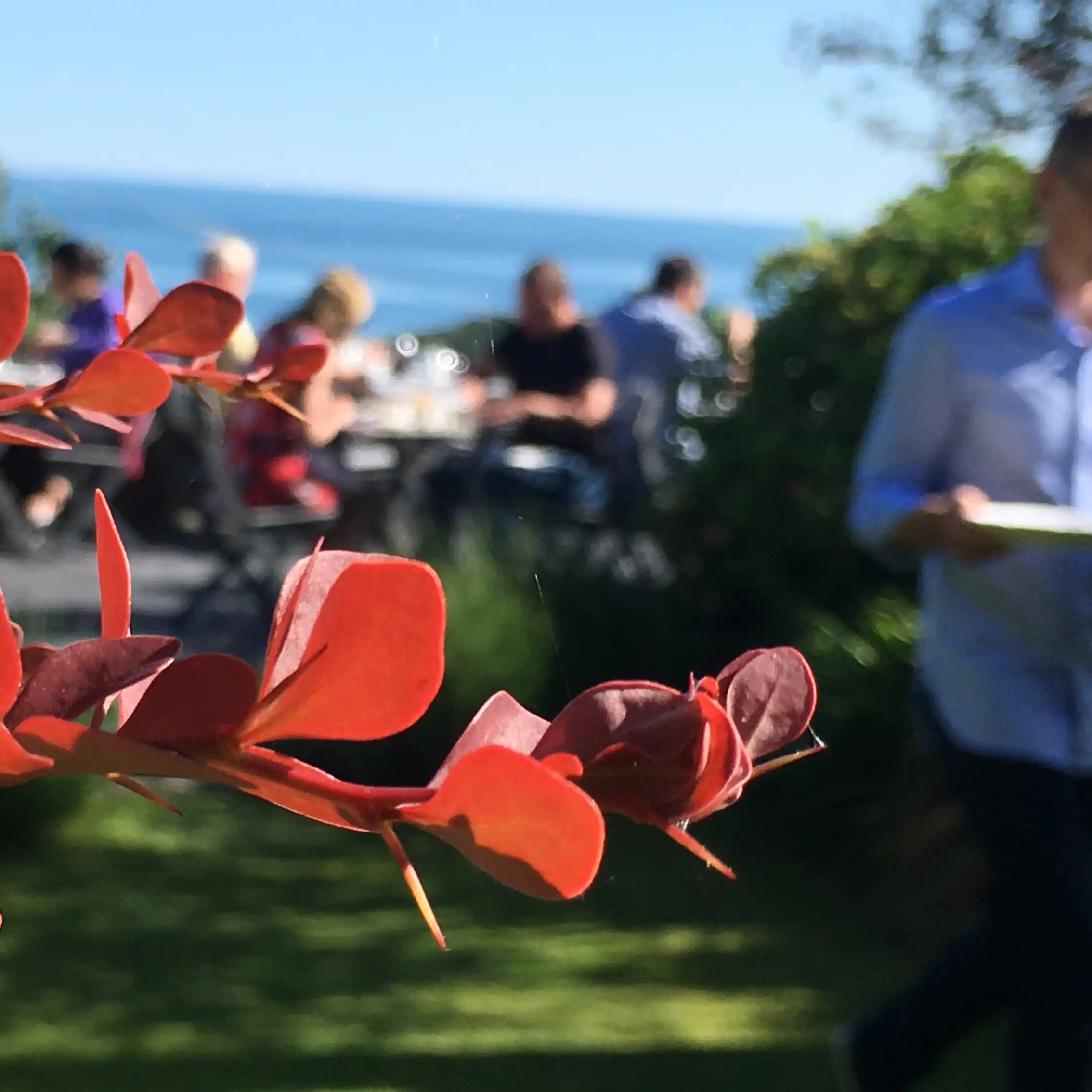 Guests enjoying breakfast on the terrace